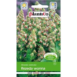 Rezeda Wonna Mix 2g Plantico
