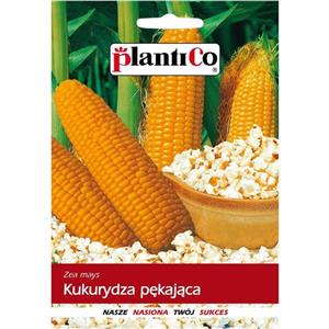 Kukurydza Pękająca Jantar 10G Standard Plantico 