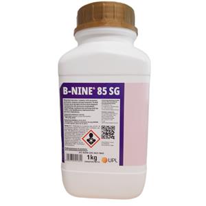 B-Nine 85 SG 1kg Skarlacz