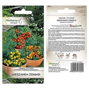 Pomidor Mieszanka Odmian 0,5G Standard Werbena