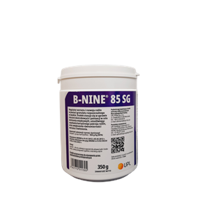 B-Nine 85 SG 0,35kg
