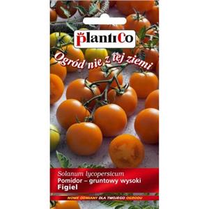 Pomidor Gruntowy Figiel 0,2g Standard