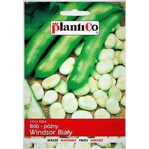 Bób Windsor Biały 50G Standard Plantico/Spójnia/Polan 