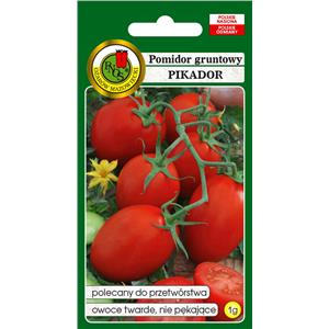 Pomidor Gruntowy Pikador 1g Standard PNOS