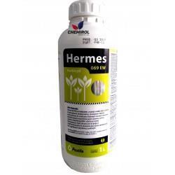 Hermes 069 EW 1L