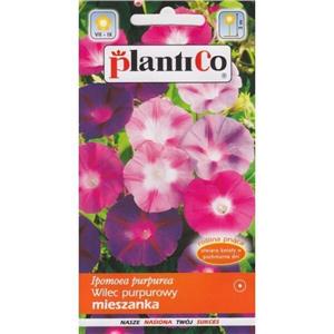 Wilec Purpurowy 3g Plantico