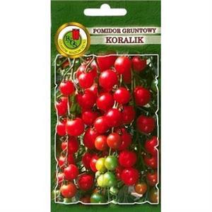 Pomidor Gruntowy Koralik 1G Standard PNOS