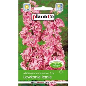 Lewkonia Letnia Różowa Hasz-Exc. 0,5g Plantico