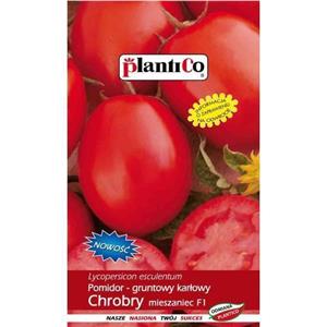 Pomidor Gruntowy Chrobry F1 0,5g Standard Plantico