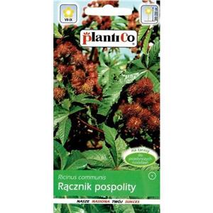 Rącznik Pospolity 2g Plantico