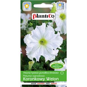 Petunia Ogrodowa Koronkowy Welon 0,05g Plantico