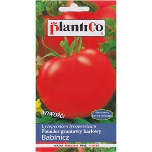Pomidor Gruntowy Babinicz 1G Standard Plantico