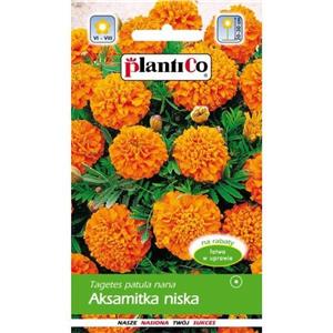 Aksamitka Niska Pomarańczowa 1g Plantico