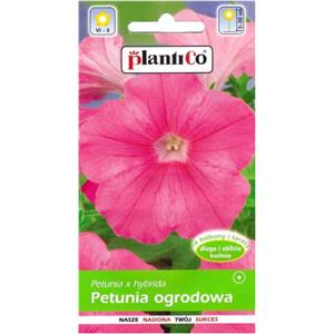 Petunia Ogrodowa Różowa Bajka 0,05g Plantico