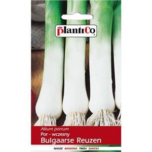 Por Bulgaarse Reuzen 1G Standard Plantico