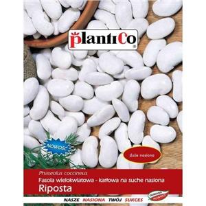 Fasola Na Suche Nasiona Riposta 50G Standard Plantico