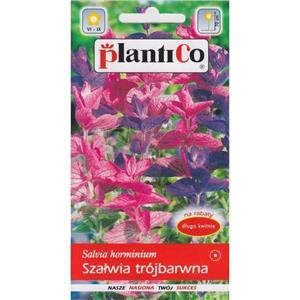 Szałwia Trójbarwna 0,5g Plantico
