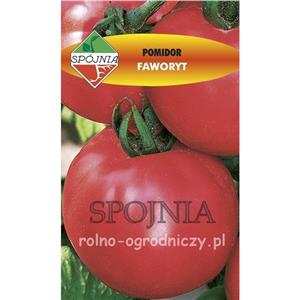 Pomidor Faworyt 0,5G Standard Spójnia