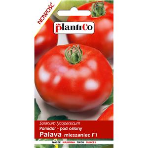 Pomidor Pod Osłony Palava 0,1G Standard Plantico