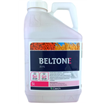 Beltone 25 FS 5L