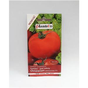 Pomidor Pod osłony Octawian F1 0,1G Standard Plantico
