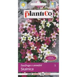 Skalnica 0,05g Standard Plantico