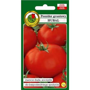 Pomidor Gruntowy Hubal 1G Standard PNOS