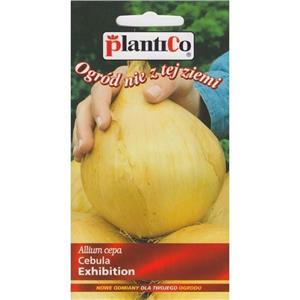 Cebula Exhibition 1G Standard Plantico