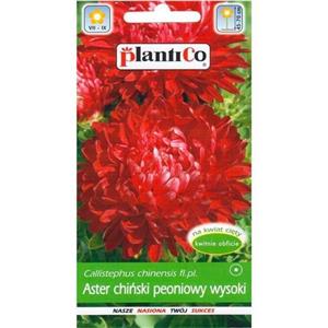 Aster Peoniowy Wysoki Czerwony 1g Plantico