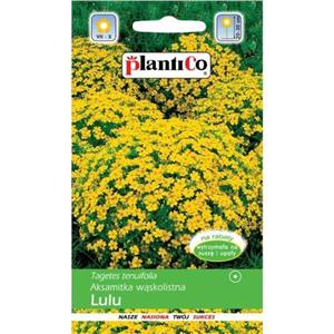 Aksamitka Wąskolistna Żółta Lulu 0,5g Plantico