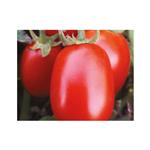 Pomidor Gruntowy C317 F1 5Tnas. Standard