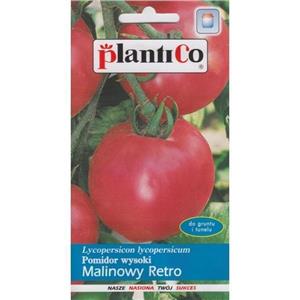 Pomidor Gruntowy Malinowy Retro 0,5G Standard Plantico
