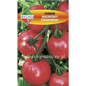 Pomidor Malinowy Ożarowski 0,5G Standard Spójnia