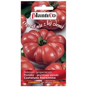 Pomidor Gruntowy Costoluto Fiorentino 0,2G Standard Plantico