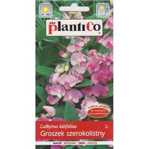 Groszek Szerokolistny Mix 2g Plantico