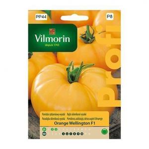 Pomidor Orange Wellington F1 0,1g Standard Vilmorin 