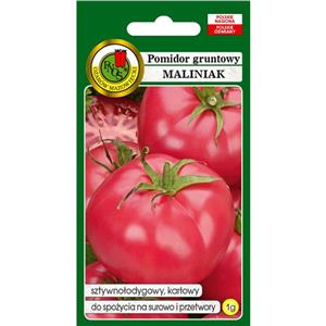 Pomidor Gruntowy Maliniak 1g Standard Pnos