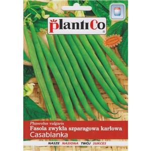 Fasola Szparagowa Karłowa Zielona Casablanka 40G Standard Plantico