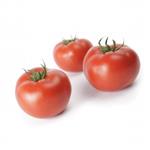 Pomidor Doufu F1 100 nas. Standard