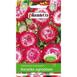 Kocanka Ogrodowa Różowa 1g Plantico