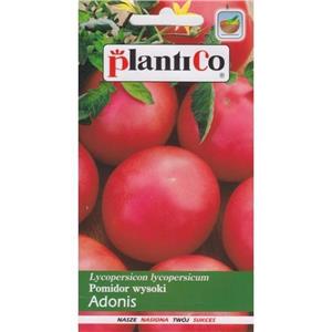 Pomidor Gruntowy Malinowy Adonis 10G Standard Plantico 