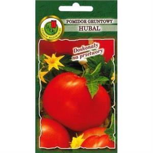 Pomidor Gruntowy Hubal 10g Standard PNOS
