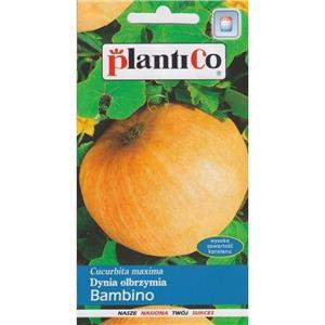Dynia Bambino 5G Standard Plantico