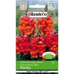 Lwia Paszcza Karłowa Portos 0,5g Plantico