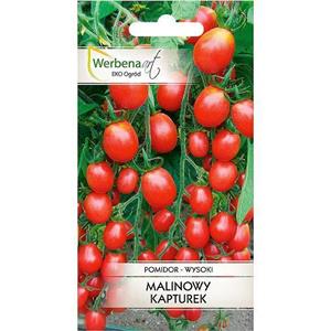 Pomidor Malinowy Kapturek 0,1G Standard Werbena