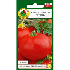 Pomidor Gruntowy Betalux 10g Standard 