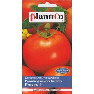 Pomidor Gruntowy Poranek 1G Standard Plantico