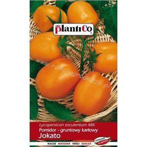 Pomidor Gruntowy Jokato 0,5G Standard Plantico