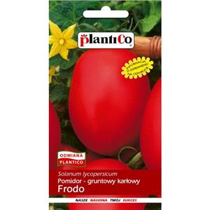 Pomidor Gruntowy Frodo 10G Standard Plantico