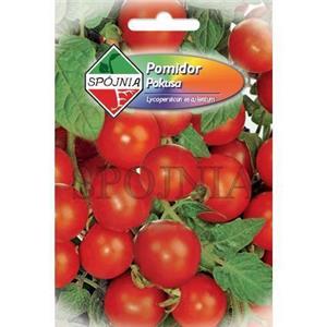 Pomidor Pokusa Koktajlowy 0,5G Standard Spójnia
